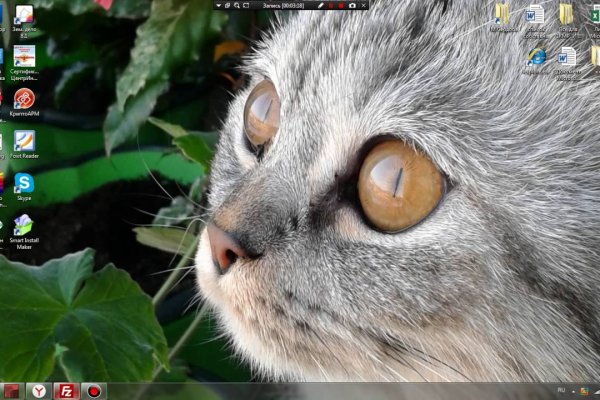 Kraken в россии