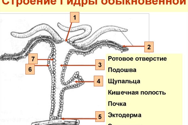 Сайт kraken в tor