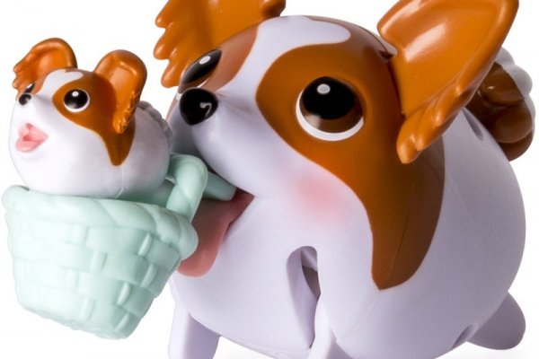 Kraken пользователь не найден при входе